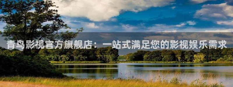 探花视频入口：青鸟影视官方旗舰店：一站式满足您的影视娱乐需求