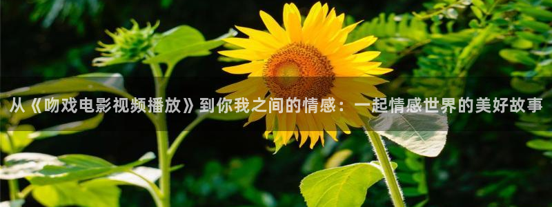 视频 探花 一区：从《吻戏电影视频播放》到你我之间的情感：一起情感世界的美好故事