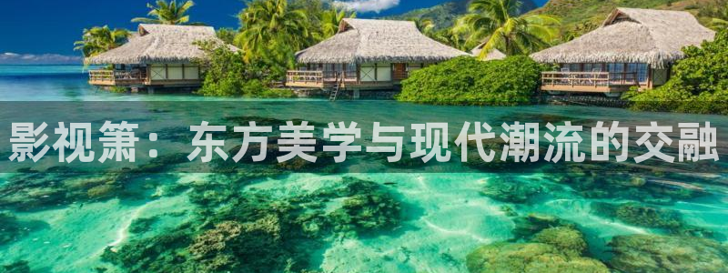 探花系列在线视频：影视箫：东方美学与现代潮流的交融