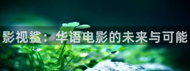 探花视频在线观看视频：影视鲨：华语电影的未来与可能