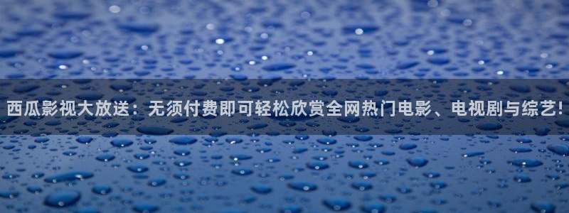 精品国产探花在线观看