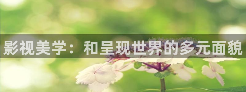 探花短视频