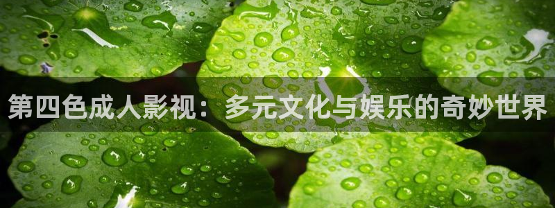 探花神马视频