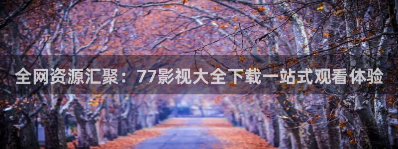 探花极品视频